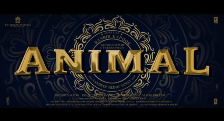 The Release of the 'Animal' Pre-Teaser